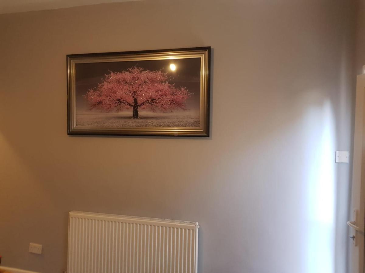 Highfields Living - All Rooms Ensuite- Free Wifi- Free Local Parking Sheffield Exterior photo